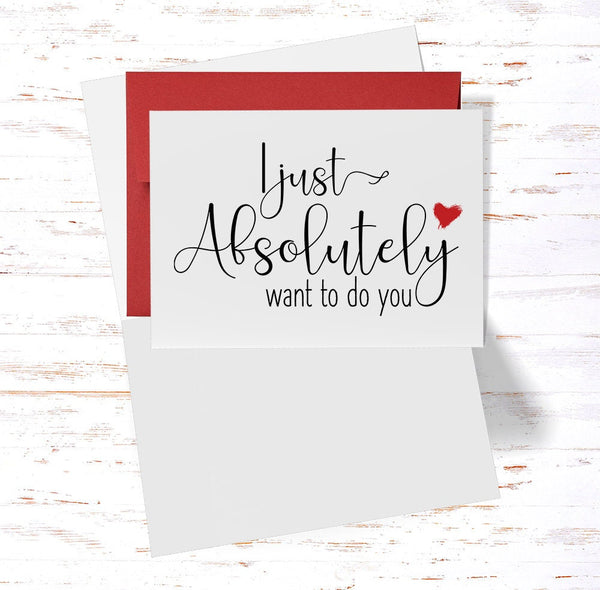 Naughty Anniversary Card I Just Absolutely Want to Do You, Sentimental Anniversary Card, Valentine's Day  (AC1042)